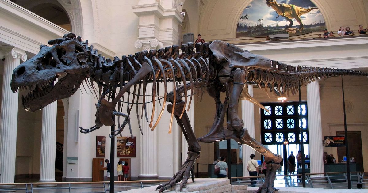 10 Rekomendasi Wisata Edukasi Anak di Bogor untuk Liburan Keluarga