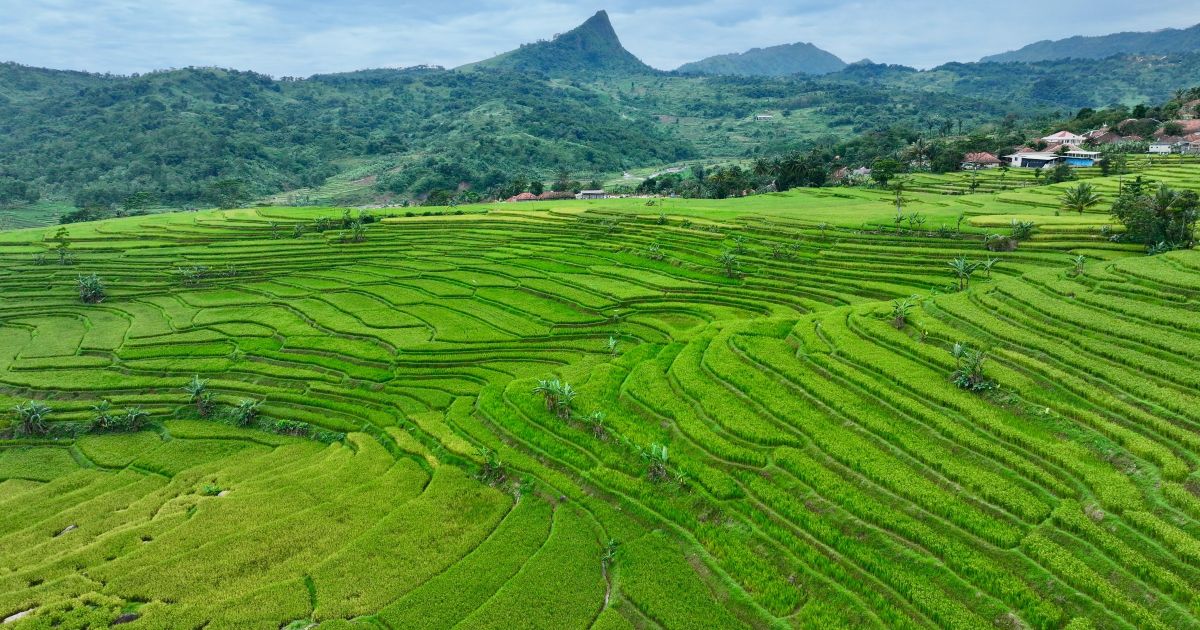 Pemkab Bogor Kembangkan Sukamakmur sebagai Motor Ekonomi Baru di Bogor Timur