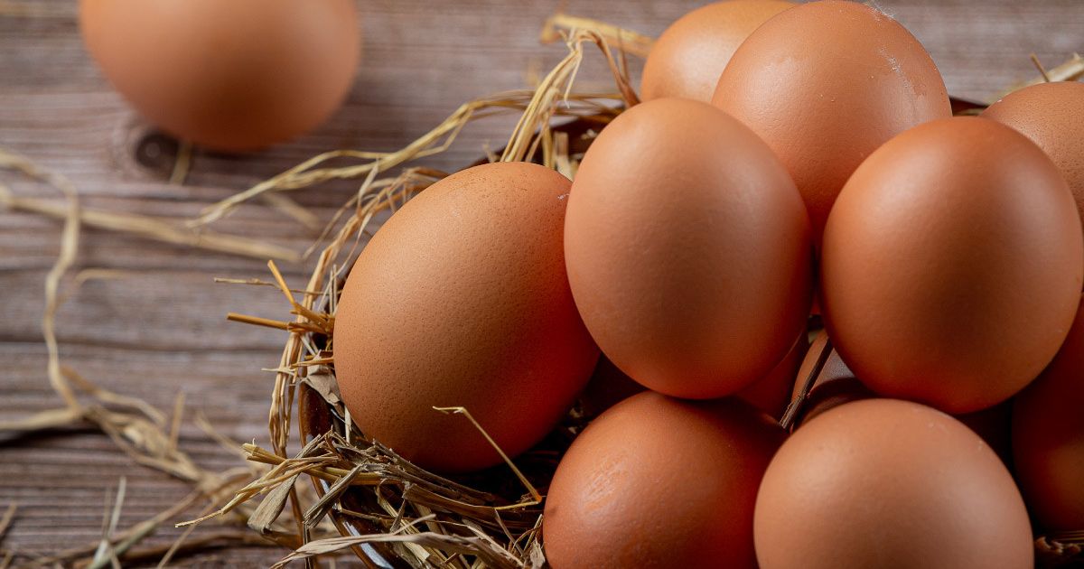 Telur Omega vs Telur Kampung: Kenali Perbedaan Nutrisi dan Keunggulannya