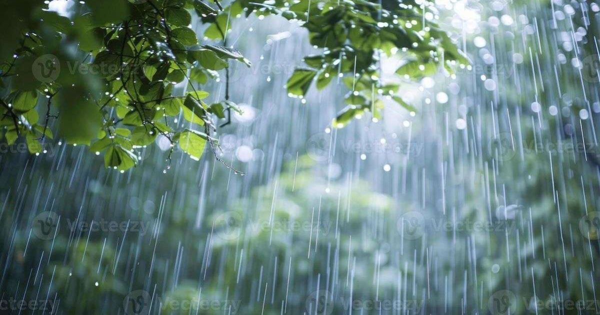 Mengenal Petrichor: Penjelasan Ilmiah di Balik Harumnya Aroma Tanah Saat Hujan