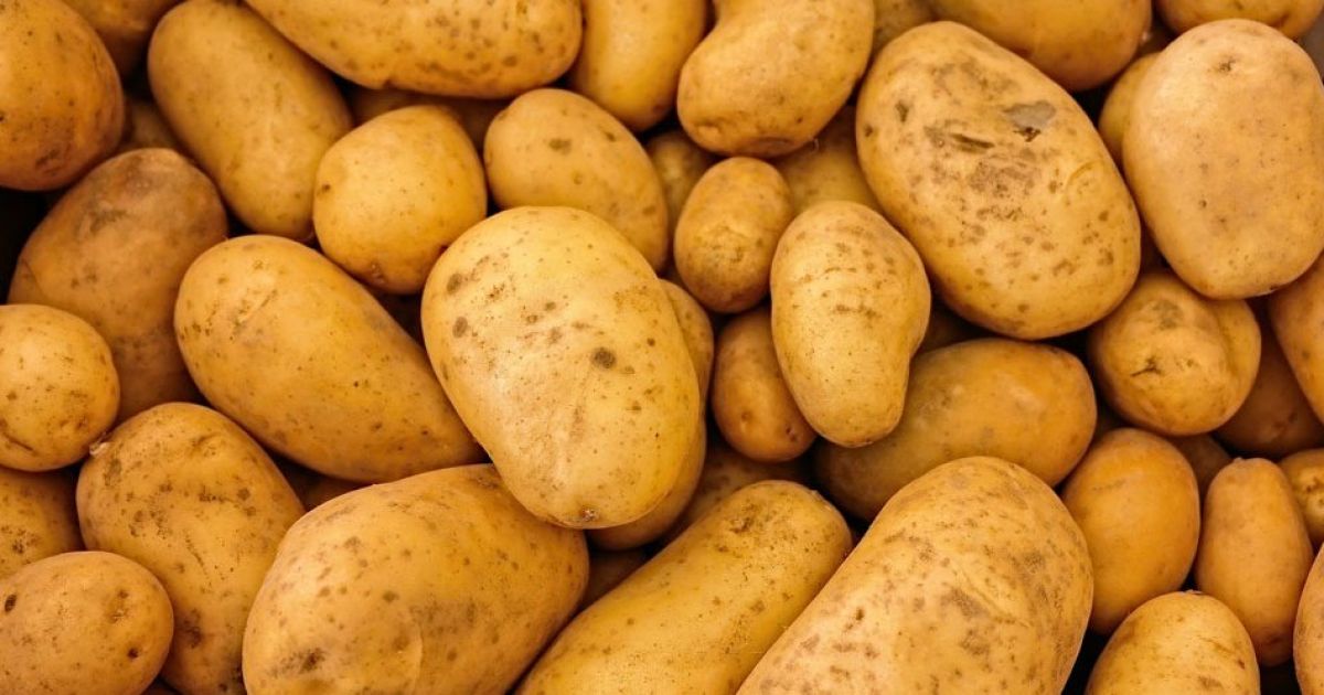 Amankah Menyimpan Kentang di Kulkas? Simak Penjelasan dan Aturan Terbarunya