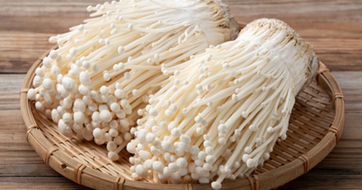 Mengenal Manfaat Jamur Enoki dan Cara Aman Mengolahnya dari Risiko Bakteri