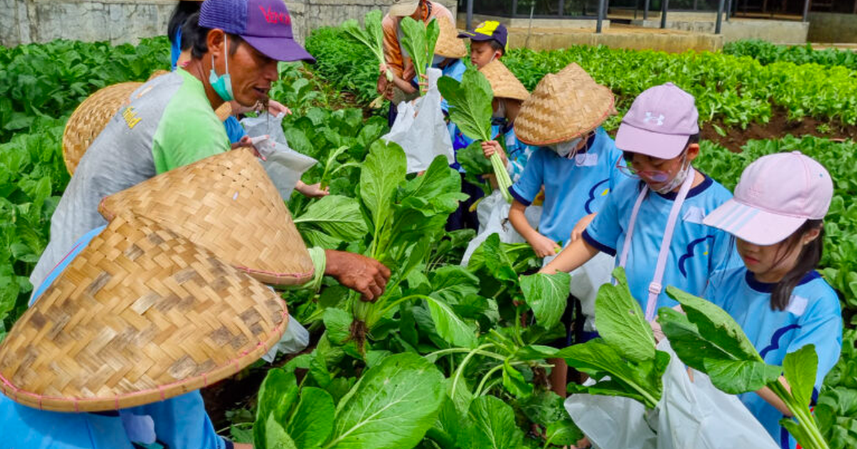 10 Rekomendasi Wisata Edukasi di Bogor untuk Mengisi Liburan Sekolah