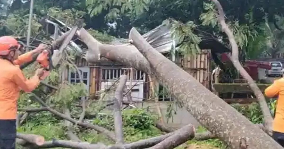 Angin Kencang Terjang Cibinong dan Citeureup, Tujuh Bangunan Dilaporkan Rusak