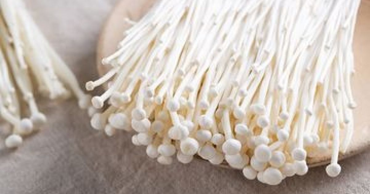 Mengenal Manfaat Jamur Enoki dan Cara Aman Mengolahnya dari Risiko Bakteri