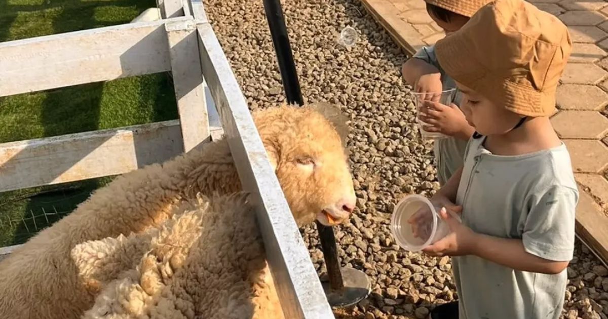 3 Cafe dengan Mini Zoo di Bogor, Pilihan Seru untuk Liburan Keluarga