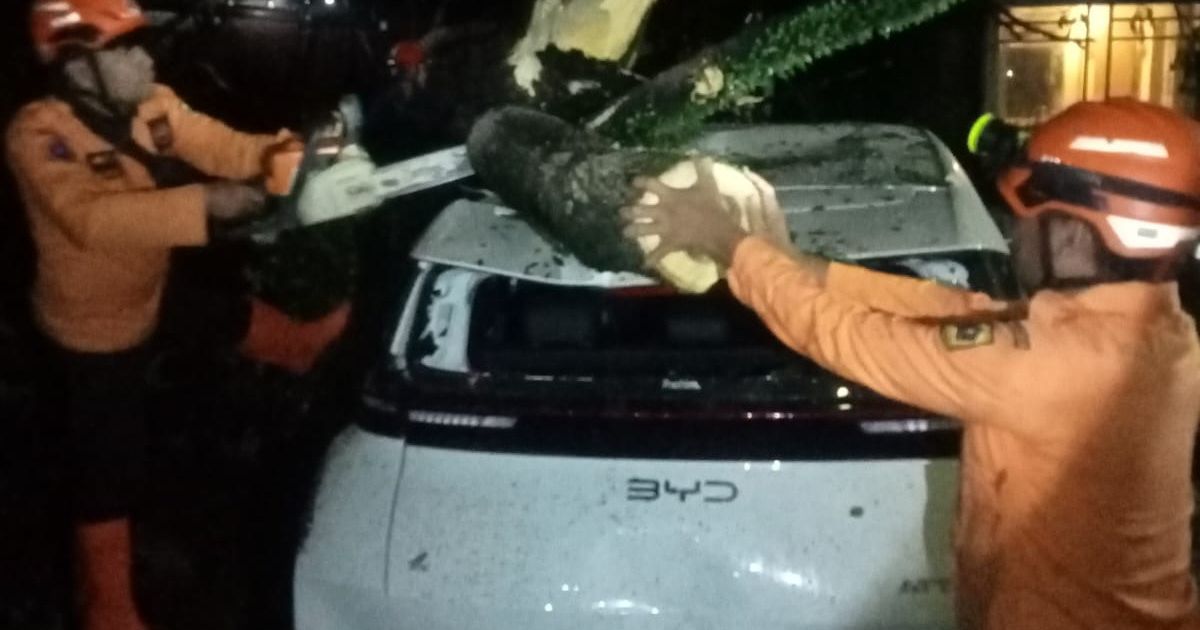 Hujan Deras dan Angin Kencang Tumbangkan Pohon di Cikeas Udik, Timpa Mobil Warga