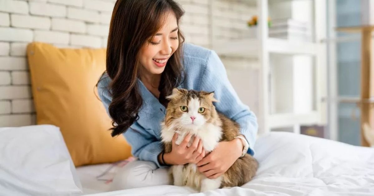 Benarkah Memelihara Kucing Bikin Susah Hamil? Simak Penjelasan Medisnya