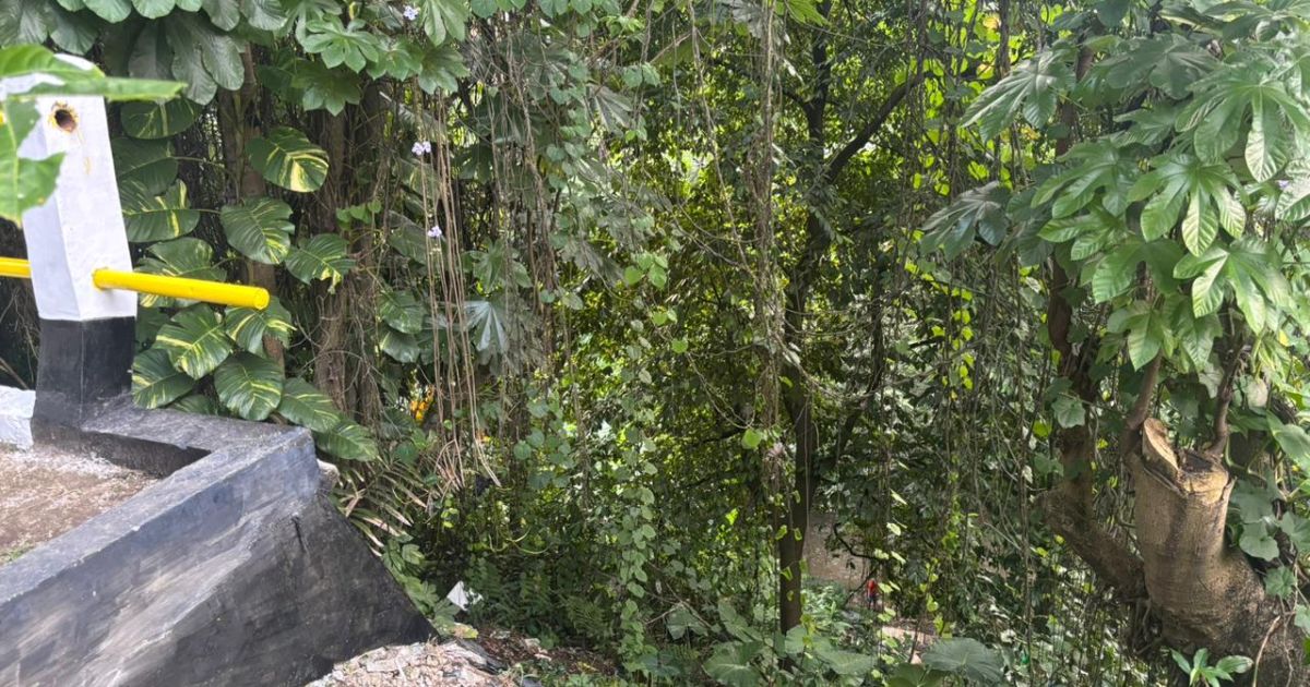 Pencarian Perempuan Diduga Jatuh ke Jurang di Paledang Bogor Dihentikan, Jejak Korban Tak Ditemukan