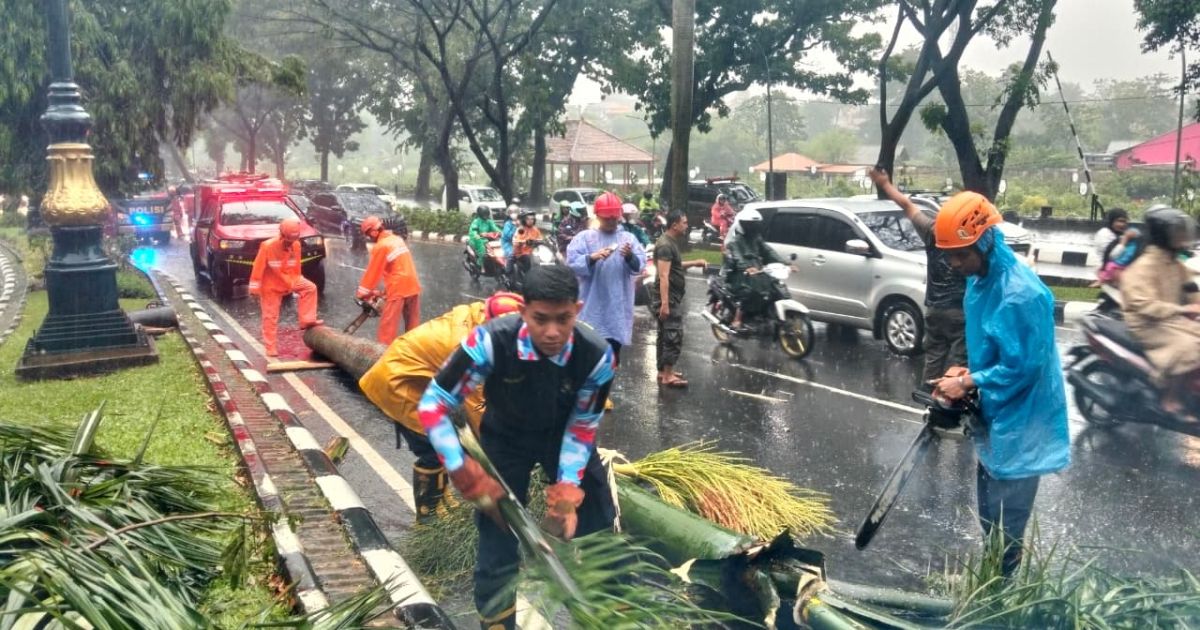 Angin Kencang Tumbangkan Pohon di Jalan Tegar Beriman, Pengendara Tewas Tertimpa