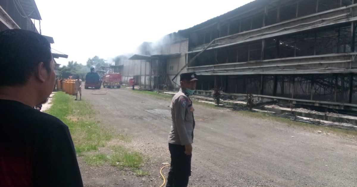 Kandang Ayam PT Sreeya Sewu di Ciseeng Terbakar, Rugi Rp15 Miliar