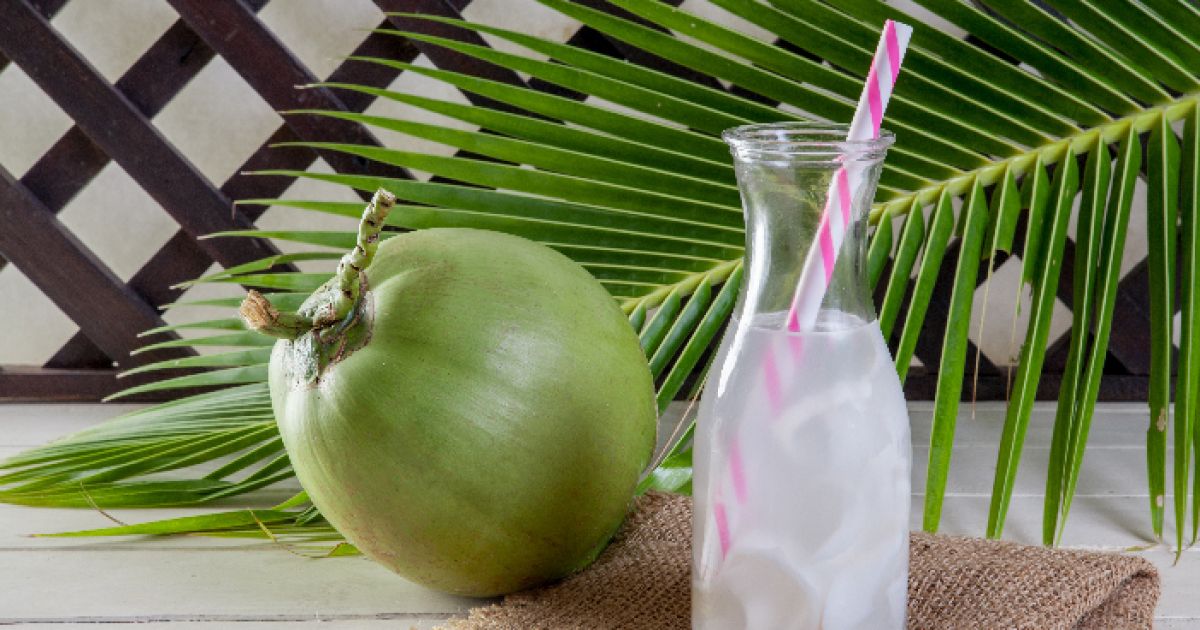 8 Manfaat Air Kelapa Hijau bagi Kesehatan: dari Stamina hingga Jantung