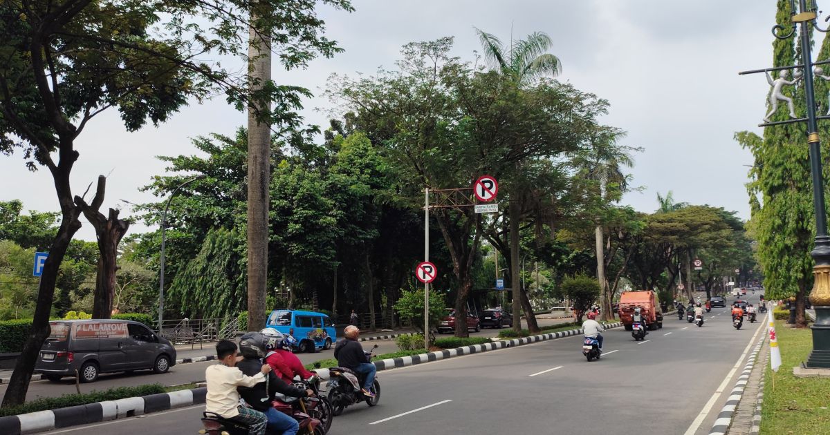 Pemkab Bogor Gandeng IPB Cek Kelayakan Pohon di Jalan Tegar Beriman Usai Pengendara Tewas