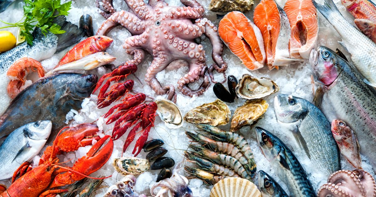 Panduan Aman Konsumsi Seafood bagi Ibu Hamil: Manfaat dan Risikonya