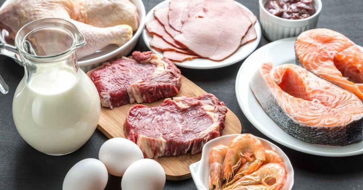 10 Makanan Tinggi Protein untuk Otot, Diet, dan Kesehatan Tubuh