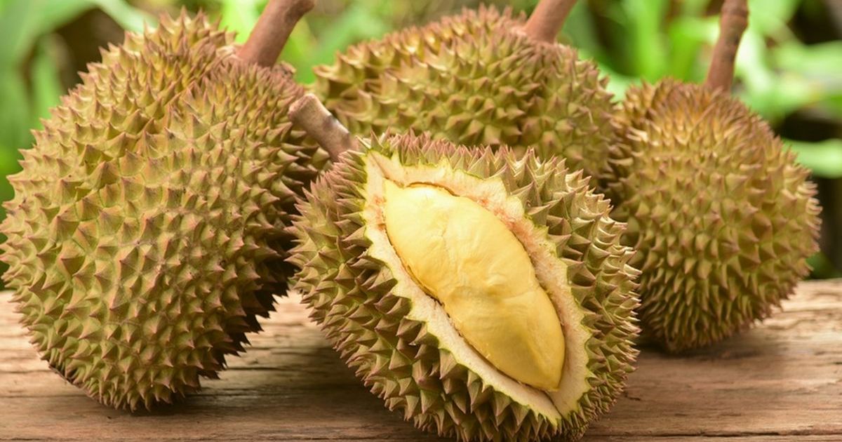 8 Rekomendasi Tempat Makan Durian di Bogor, dari Konsep AYCE hingga Petik Sendiri