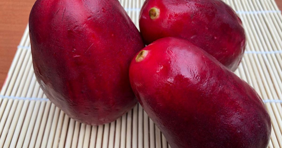 Manfaat Jambu Jamaika bagi Kesehatan: Dari Jantung hingga Kontrol Gula Darah
