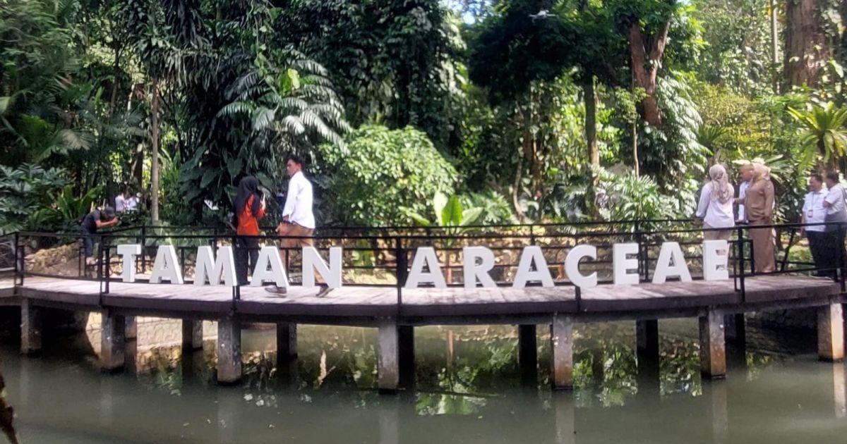 Kebun Raya Bogor Resmikan Taman Araceae di HUT ke-209, Perkuat Eduwisata dan Konservasi
