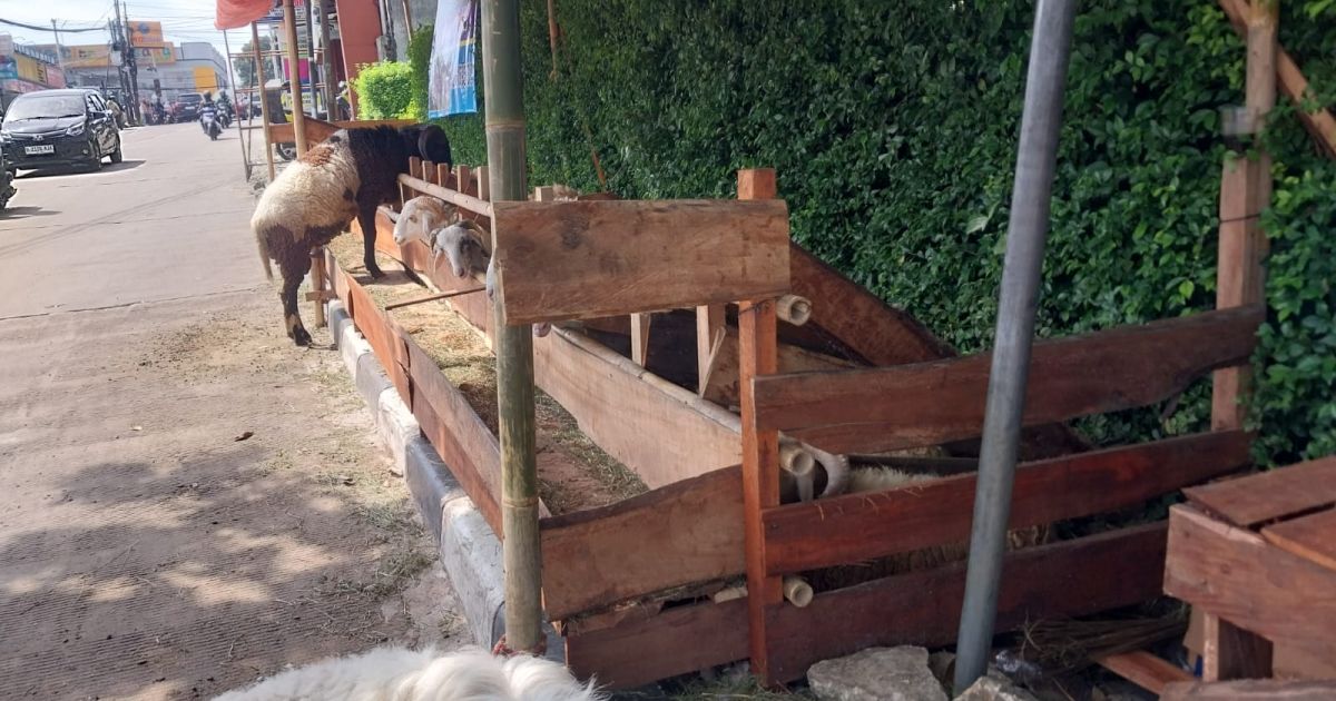 Pemkot Bogor Siapkan Perwali Lapak Kurban, Pedagang Dilarang Jualan di Trotoar