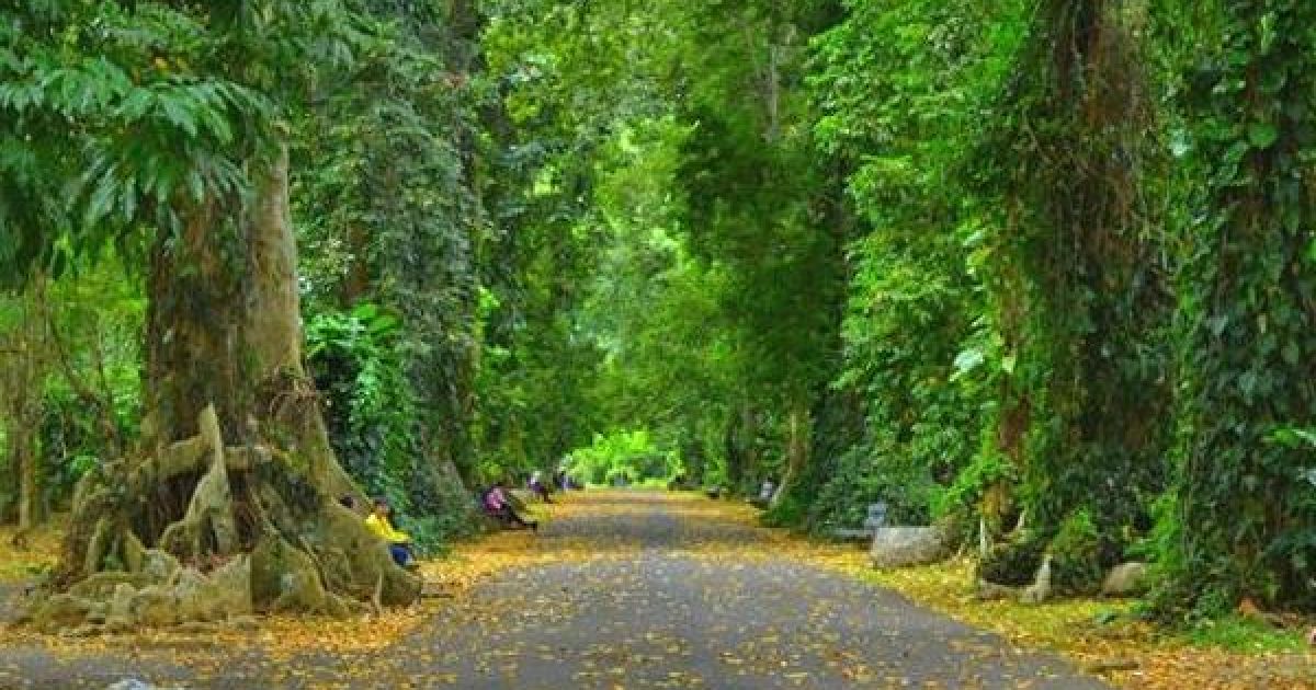 9 Rekomendasi Tempat Wisata di Bogor untuk Liburan Akhir Pekan