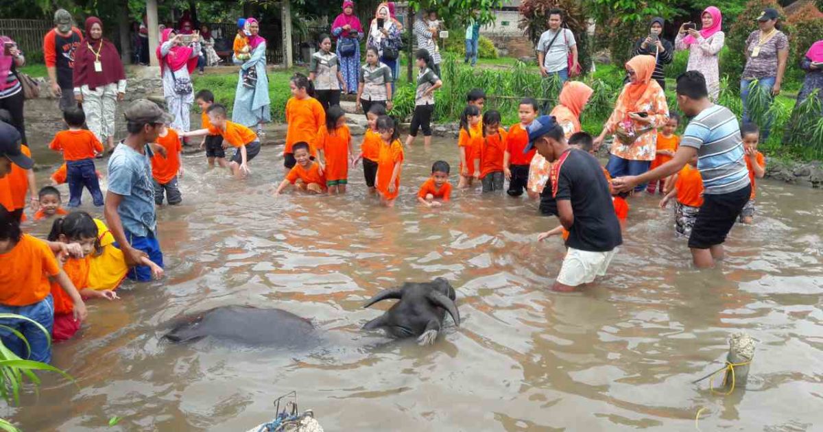 8 Rekomendasi Agrowisata di Bogor untuk Liburan Edukasi Anak