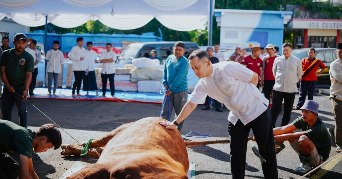 Polres Bogor Salurkan 53 Hewan Kurban untuk Warga dan Pesantren di Iduladha 1447 H