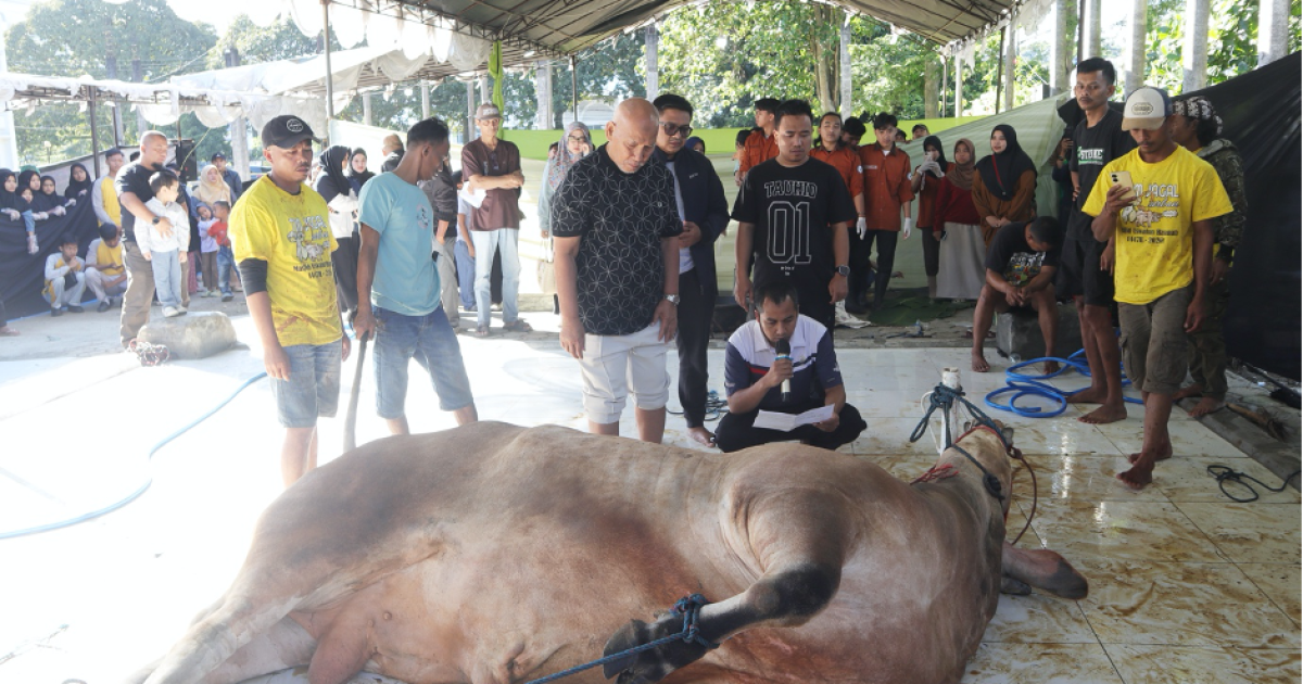 Idul Adha 1447 H: UNIDA Kurban 21 Sapi dan 8 Kambing untuk Warga Ciawi
