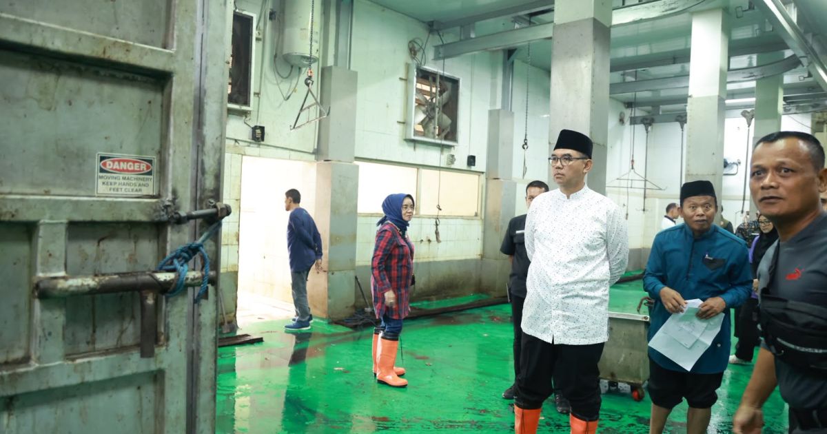 Sekda Ajat Tinjau Pemotongan Hewan Kurban di RPH Cibinong