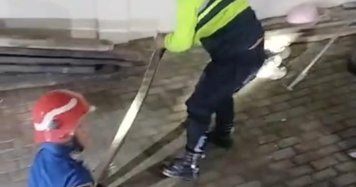 Geger King Kobra 4 Meter Bersarang di Garasi Warga Parungpanjang, Damkar Turun Tangan
