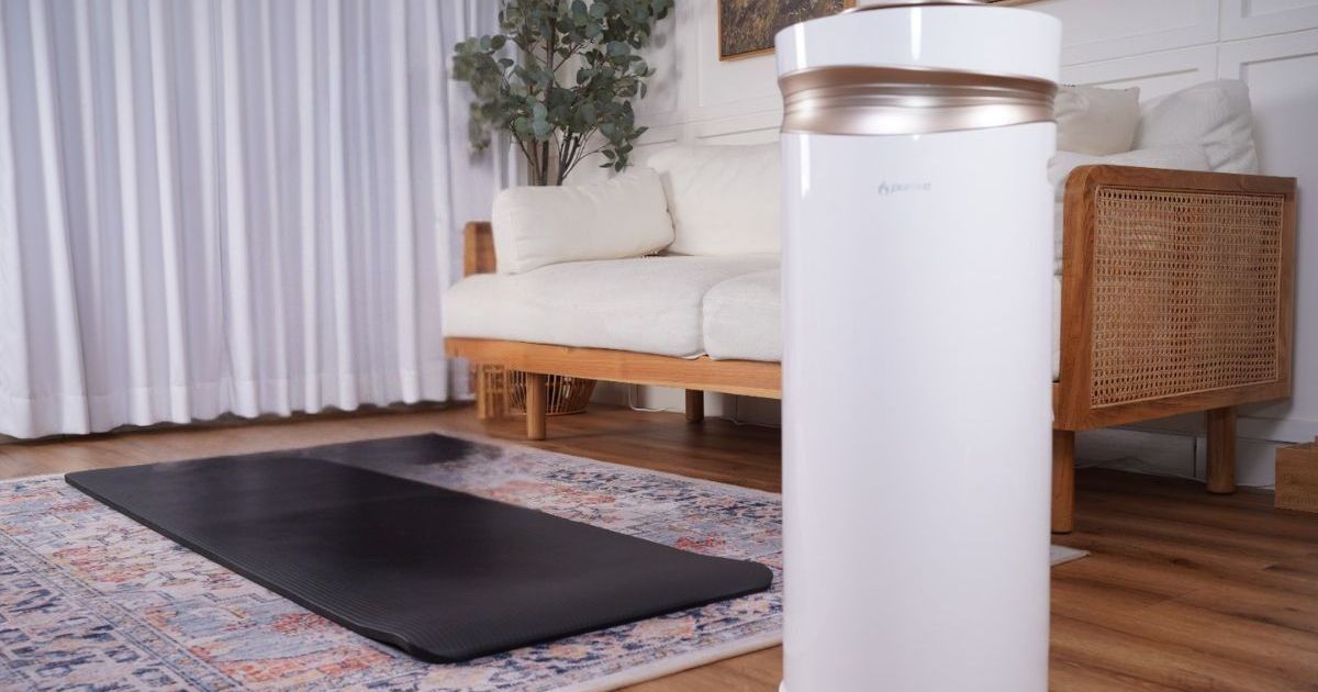 5 Manfaat Air Purifier untuk Kesehatan dan Cara Memaksimalkan Penggunaannya