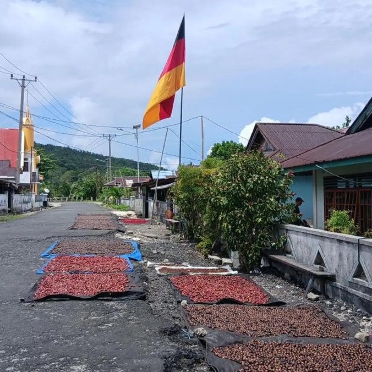 Semarak Piala Dunia 2026: Talaud, Ujung Utara Indonesia, Rayakan dengan Bendera Raksasa