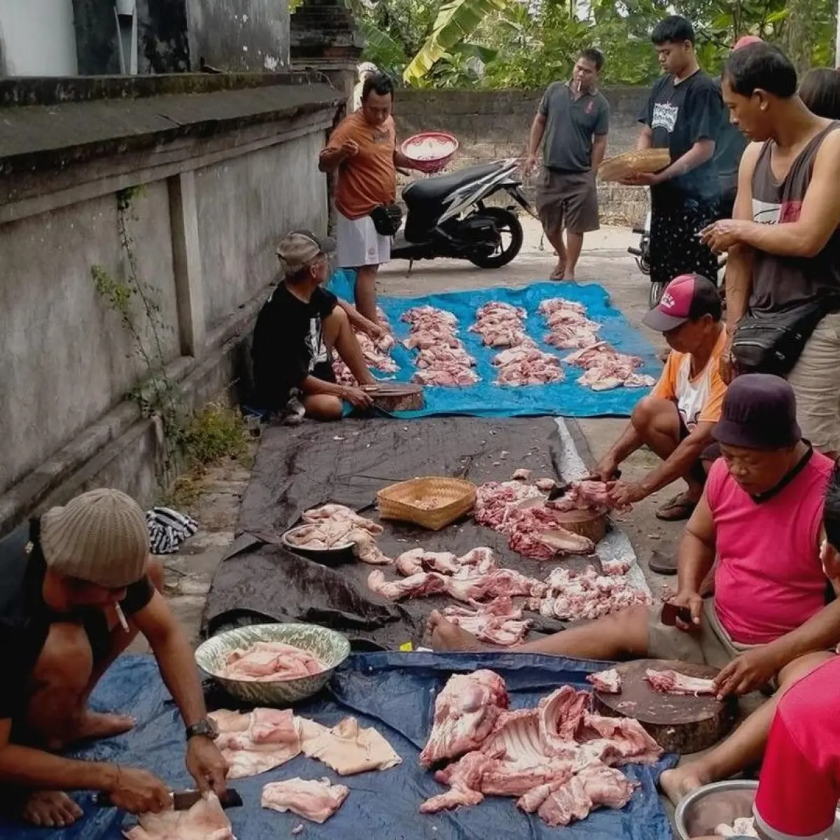 Antisipasi Hari Raya, Badung Jamin Pasokan Babi Aman Jelang Galungan dengan Pengawasan Ketat