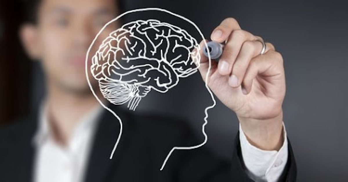 Jaga Fungsi Otak Optimal: 5 Aktivitas Harian untuk Kesehatan Jangka Panjang