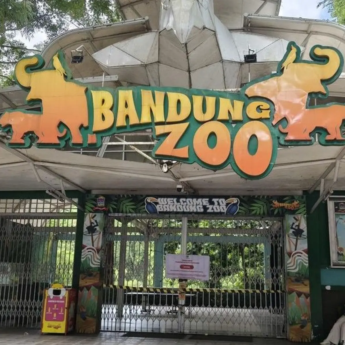 Penantian Panjang Segera Berakhir: Pemenang Pengelolaan Baru Kebun Binatang Bandung Diumumkan Hari Ini