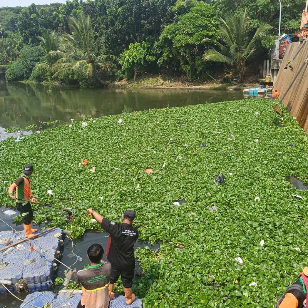 PLN Indonesia Power Gerak Cepat Atasi Banjir Eceng Gondok Ancaman Kesehatan dan Ekonomi Sungai Citarum