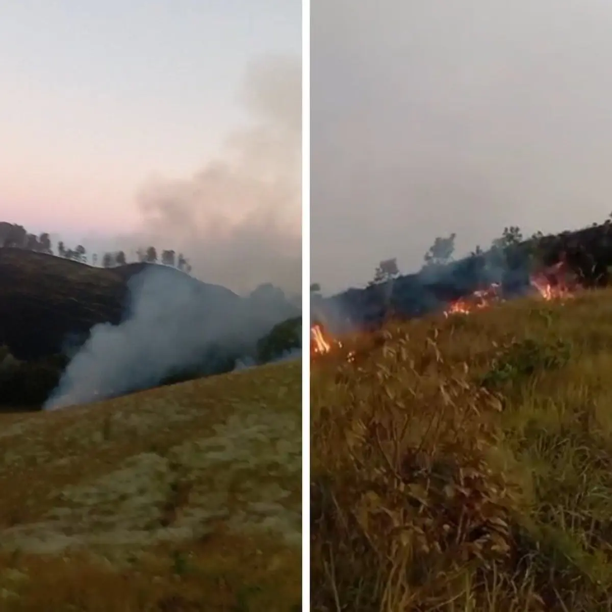 Kebakaran Bukit Sempana Lombok Timur Memaksa Evakuasi Darurat 25 Pendaki