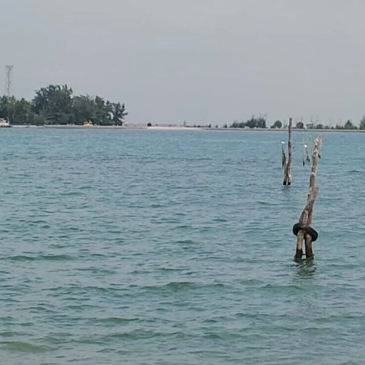 BMKG Waspadai Fase Super New Moon, Pesisir Kepulauan Riau Terancam Banjir Rob Pekan Depan