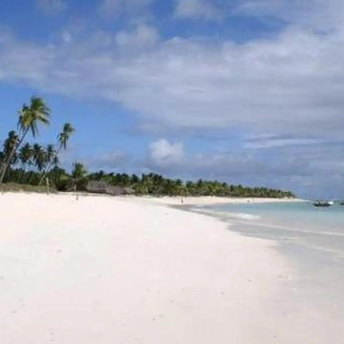 Menguak Keindahan Tersembunyi Rote Ndao, dari Pantai Berselancar hingga Titik Selatan Indonesia di Pulau Ndana