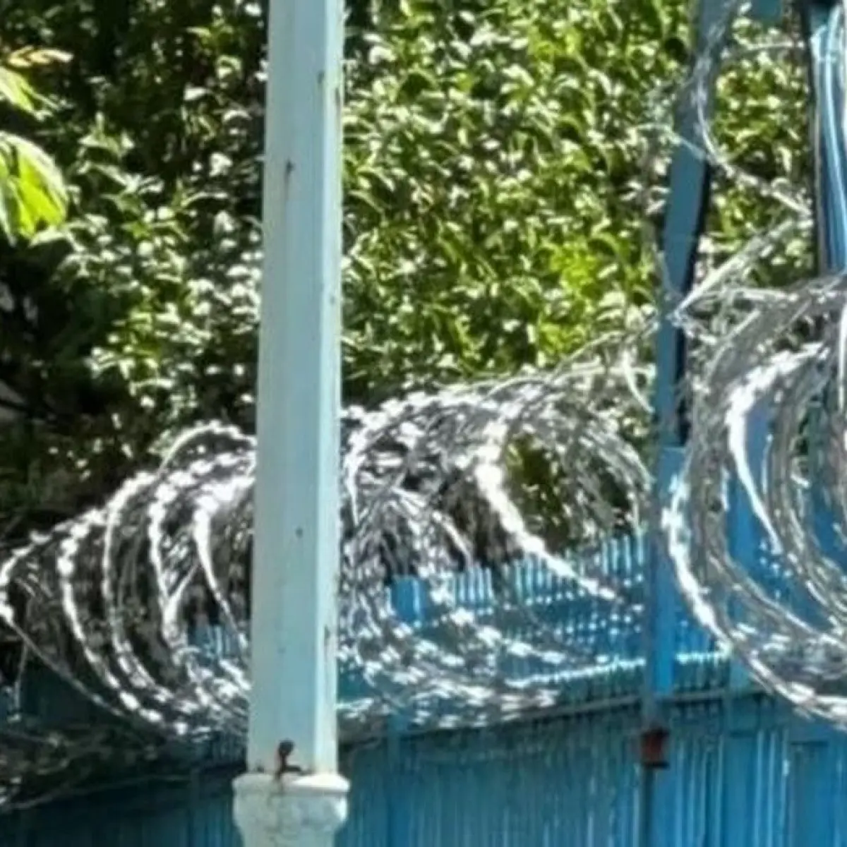 Pengamanan Privasi Keraton Solo: Pemasangan Kawat Berduri di Akses Keputren Picu Perbincangan Publik