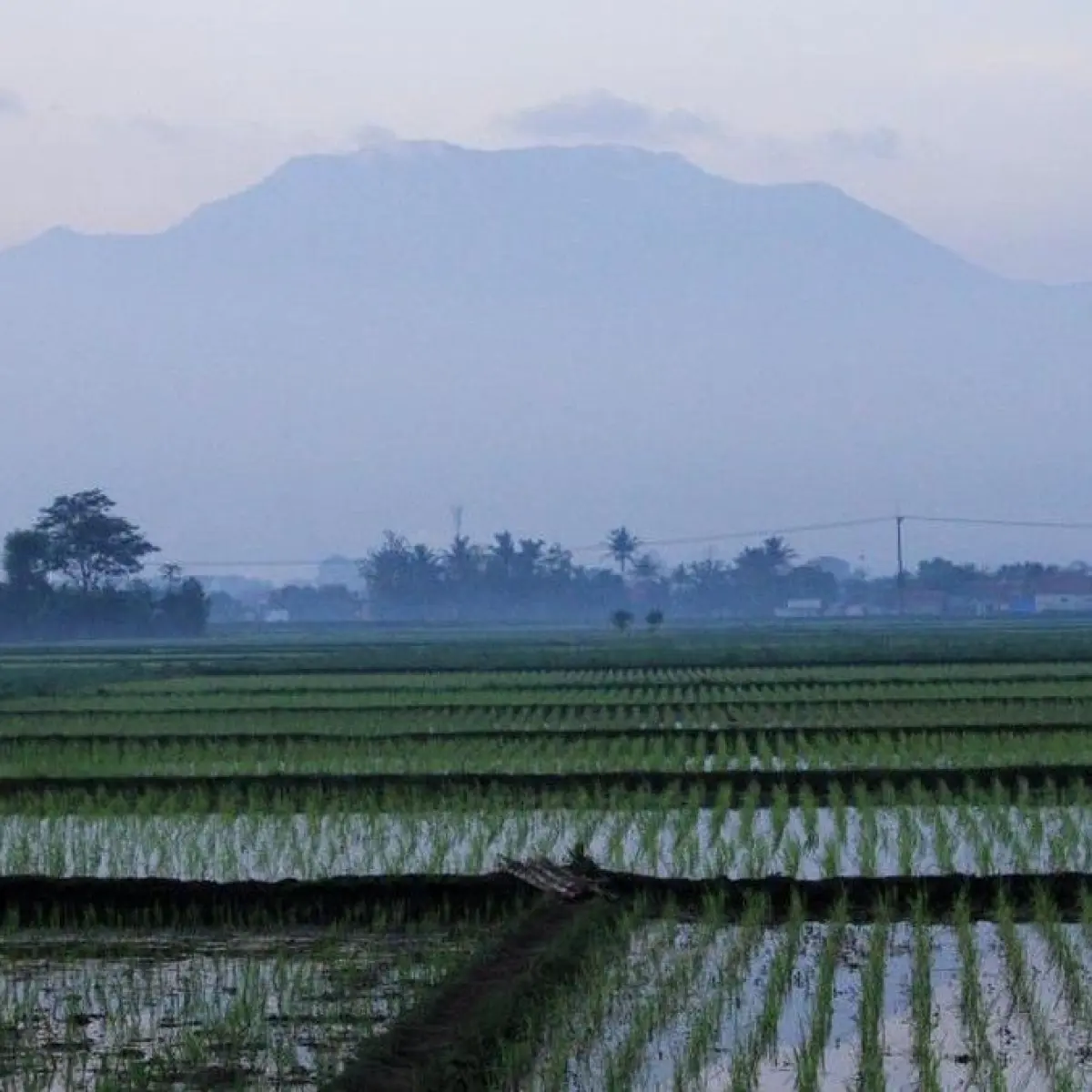 Prakiraan Cuaca Bandung 11 Juni 2026: Dominasi Awan Sepanjang Hari, Warga Diminta Adaptif