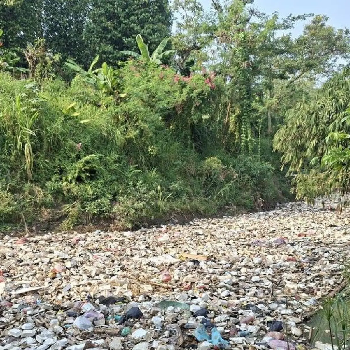 Pemkot Serang Kaji Regulasi Sanksi Tegas untuk Warga yang Buang Sampah ke Sungai