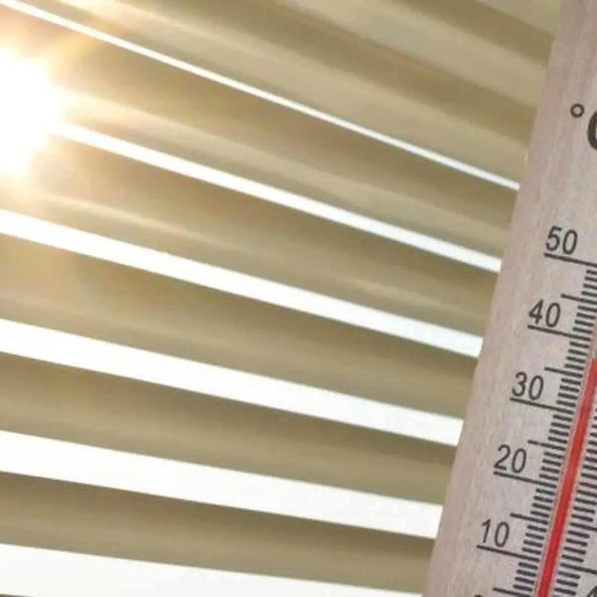 BMKG Pastikan Suhu Sumsel Stabil, Warga Diimbau Waspada Dehidrasi Saat Aktivitas Luar Ruangan