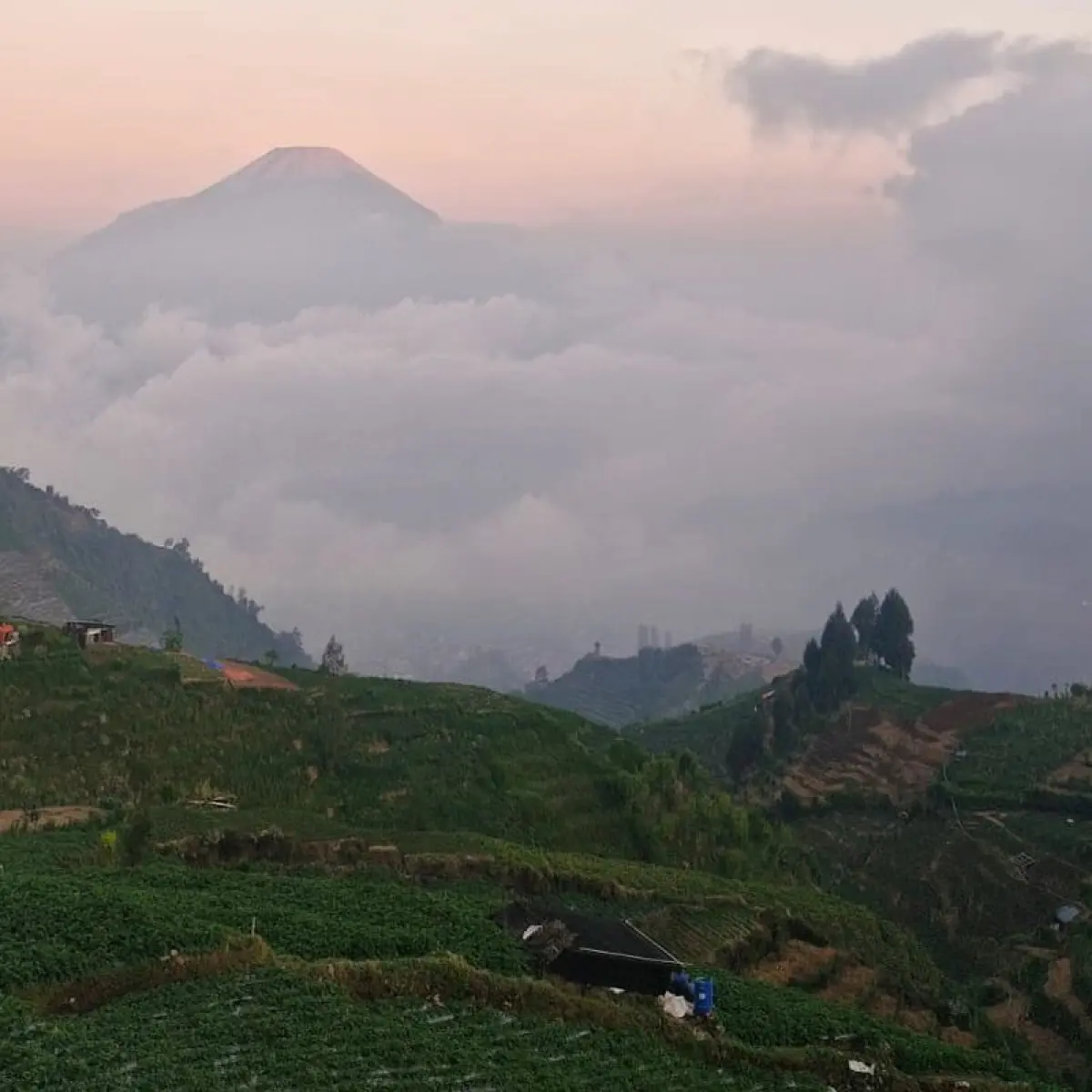 Inovasi Desa Patakbanteng: Pendakian Gunung Prau Jadi Motor Penggerak Restorasi Ekologis Hutan Lindung