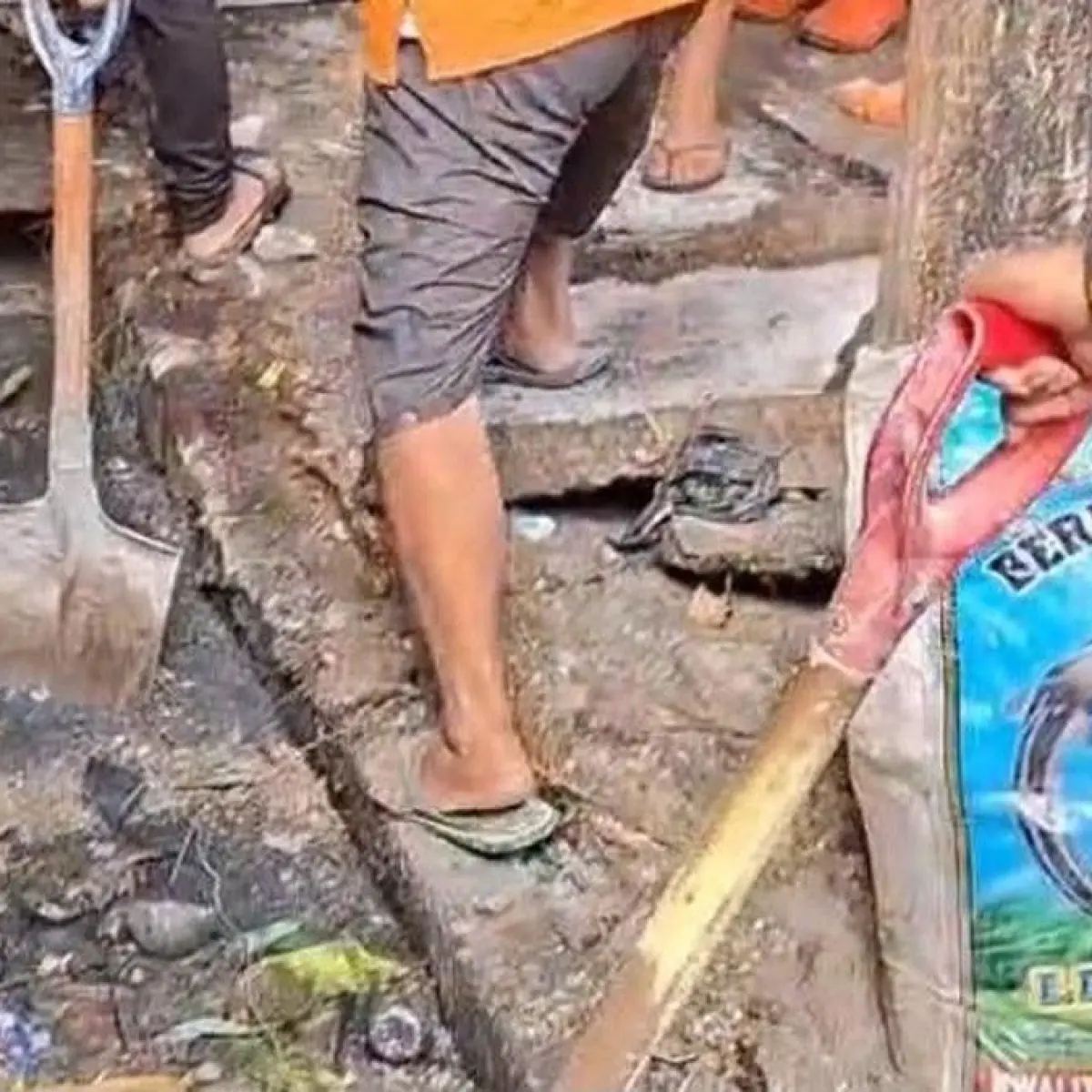 Drainase Tersumbat Limbah 30 Tahun, Tenda Legendaris Pallubasa Serigala di Makassar Akhirnya Dibongkar Paksa
