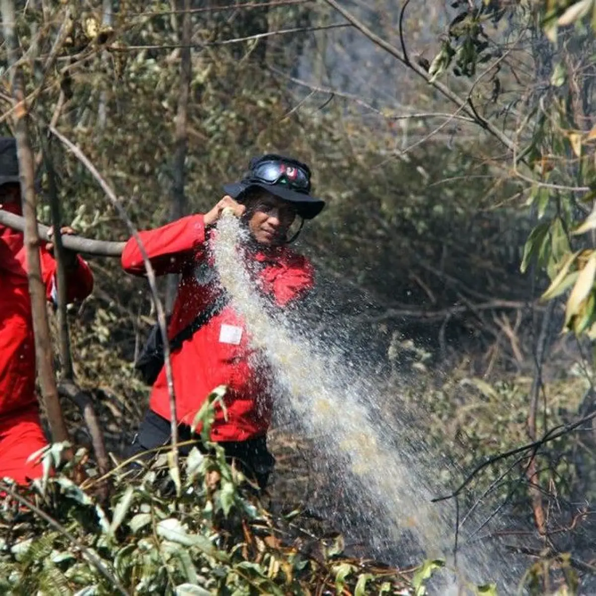 Lonjakan Drastis Hotspot Karhutla di Sumsel: BPBD Deteksi Hampir 400 Titik dalam Dua Pekan Juni