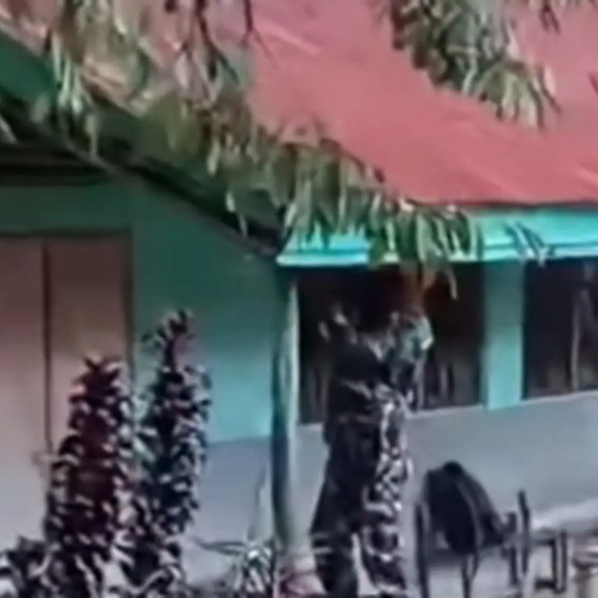 Sorotan Pekan Ini: Tiga Isu Krusial di NTT Mulai dari Sengketa Lahan Sekolah hingga Konflik Antar-Aparat