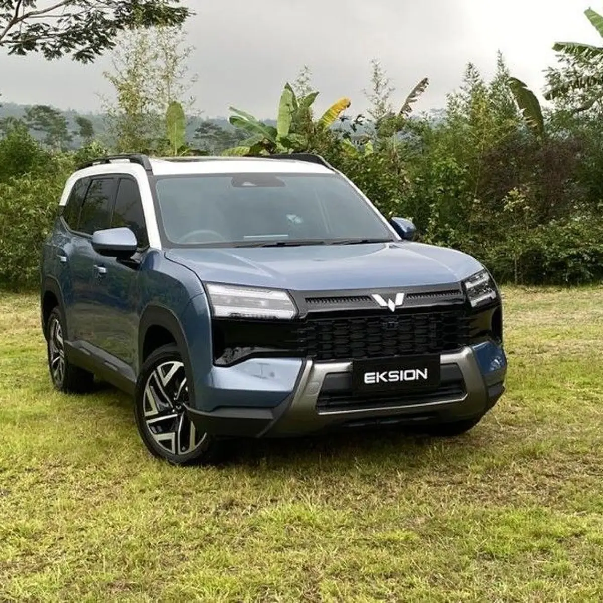 Penjualan Mobil PHEV Anjlok Tipis Bulan Mei 2026, Namun Basis Pasar Tahunan Melonjak Fantastis