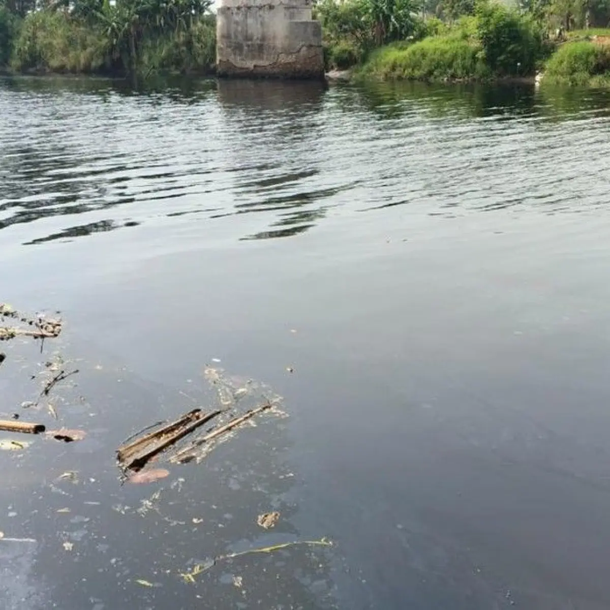 Sungai Ciujung Tercemar Parah: Air Hitam dan Bau Menyengat Ganggu Warga Serang