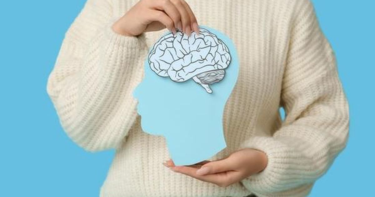 Bukan Akhir Segalanya, Ini 9 Cara Efektif Tingkatkan Skor IQ Anda