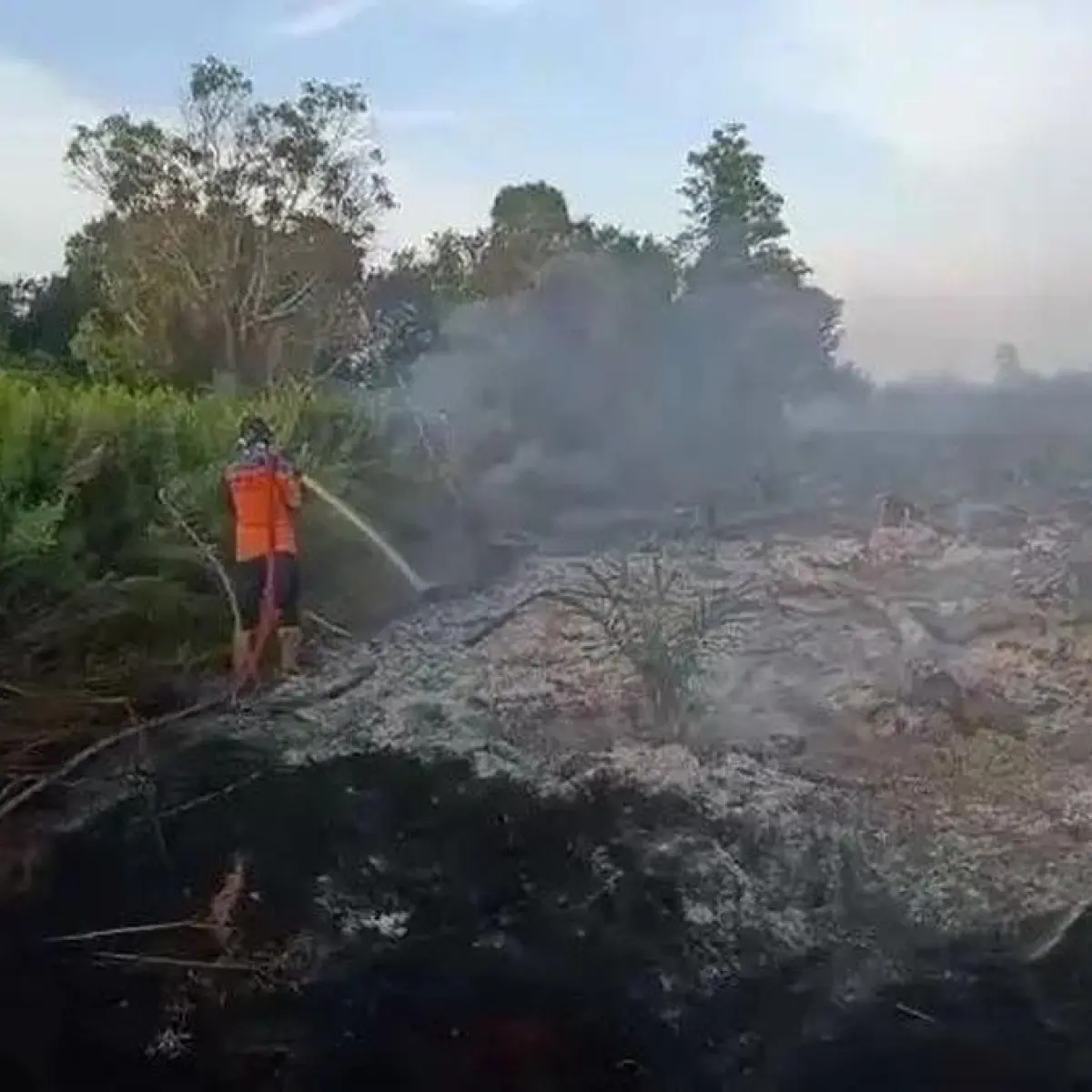 BPBD Kobar Berjuang Ekstra Padamkan Dua Titik Karhutla di Lahan Gambut
